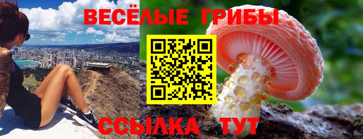 Галлюциногенные грибы прущие грибы  Псилоцибиновые грибы Psilocybe  Сатка  Вход с VPN 